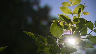 Southern California to enjoy calm and warm weekend as high pressure system moves in