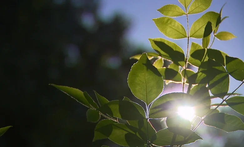 Southern California to enjoy calm and warm weekend as high pressure system moves in