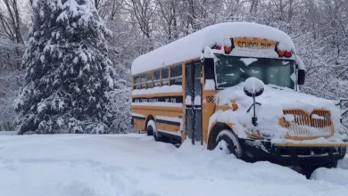 Southern Ontario: School Bus Cancellations and Closures for Monday, November 10, 2025