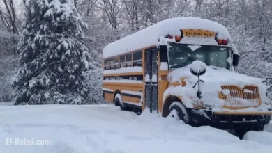 Southern Ontario: School Bus Cancellations and Closures on November 17, 2025