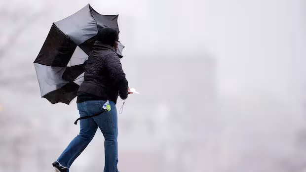 Special weather statement ends after strong winds in Toronto