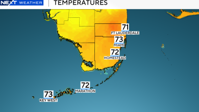 Spectacular start to November in South Florida, little to no rain chances throughout Saturday