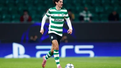 Sporting CP vs Estrela Amadora Prediction and Betting Tips | November 30th 2025