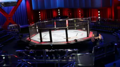 Sportsbooks refund bets on UFC fight in Las Vegas after suspicious activity