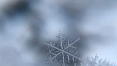 Squalls Possible In Grey Bruce Region Tonight