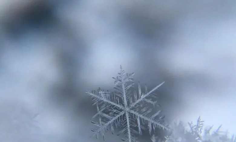 Squalls Possible In Grey Bruce Region Tonight