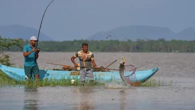 Sri Lankan freshwater fishers keen to turn invasive species threat int...