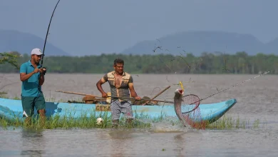 Sri Lankan villagers adapt to threat of snakehead fish invasion