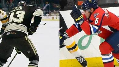 St. Louis Blues and Washington Capitals Swap AHL Players
