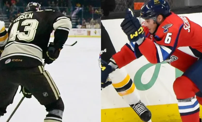 St. Louis Blues and Washington Capitals Swap AHL Players