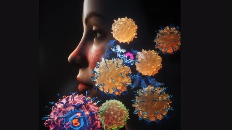 Stanford Medicine scientists tie lupus to a virus nearly all of us carry