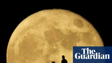 Starwatch: look out for the largest supermoon of the year on Wednesday