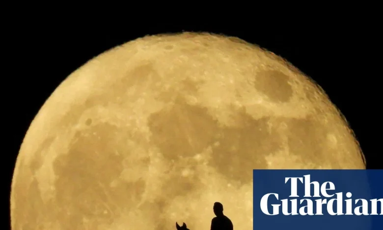 Starwatch: look out for the largest supermoon of the year on Wednesday