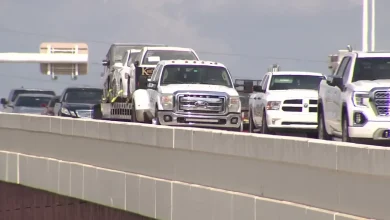 State Farm files for 10% auto insurance rate cut in Florida