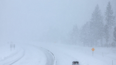 State Issued Winter Weather Alert as 5 Inches of Snow To Hit