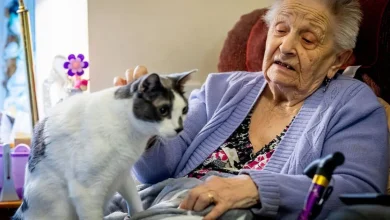 State pensioners with any of these 48 health conditions can get extra £480 a month