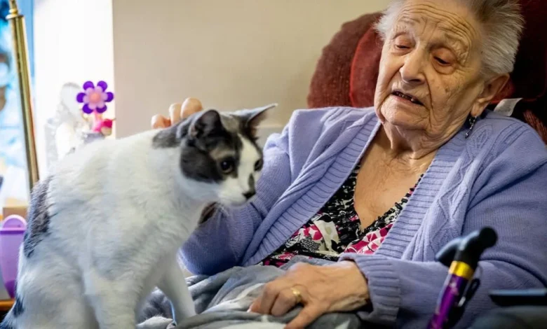 State pensioners with any of these 48 health conditions can get extra £480 a month