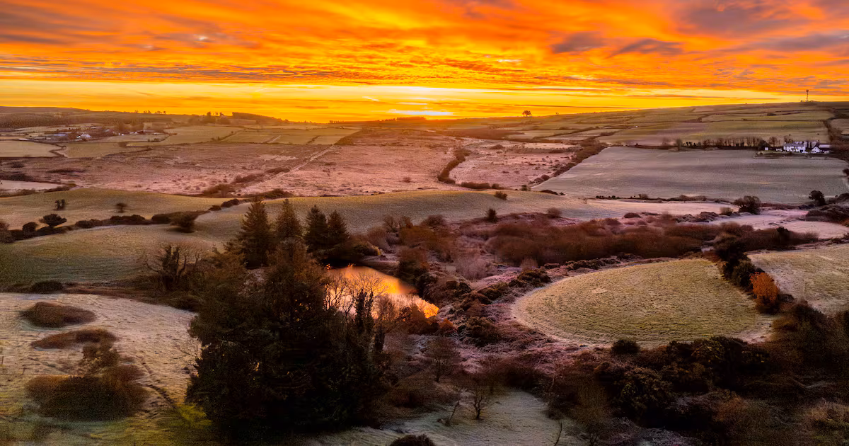 Status yellow fog warning in place for 11 counties this morning