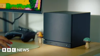 Steam Machine: Valve rivals Xbox and PlayStation with new console