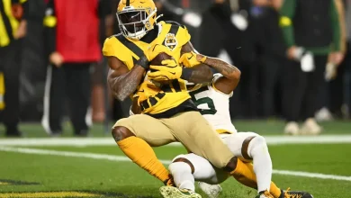 Steelers’ DK Metcalf Fined by NFL for Actions Against Packers LB