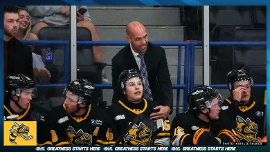 Sting Relieve Alan Letang Of Head Coaching Duties