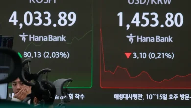 Stock markets surge after US lawmakers move to end government shutdown