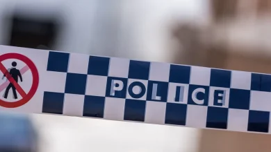 Stolen vehicle and family dog appeal, Wynnum