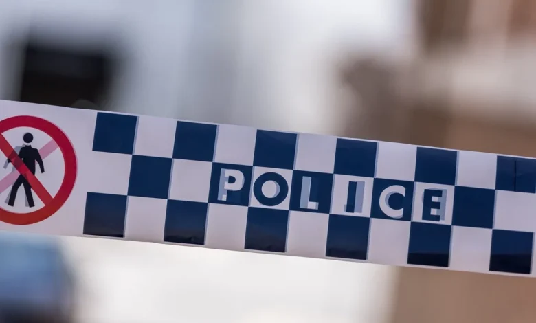 Stolen vehicle and family dog appeal, Wynnum