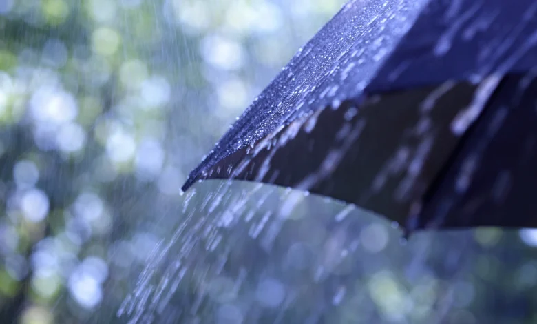 Storm Claudia to bring heavy and disruptive rain for many