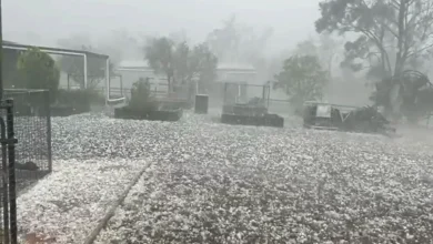 Storms and hail to continue ravaging Queensland's south-east