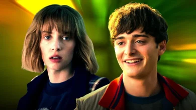 Stranger Things 5's Will and Robin Relationship Is a Pleasant Surprise