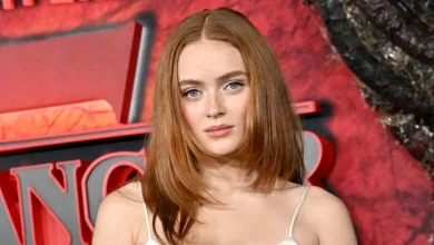 Stranger Things' Sadie Sink displays toned abs in bejeweled bralette at season 5 premiere
