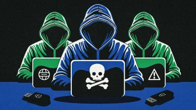 Streameast: How the authorities took down the world’s largest illegal sports streaming platform