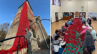 Stunning Richhill Remembrance display of over 7,700 poppies has drawn attention from far and wide