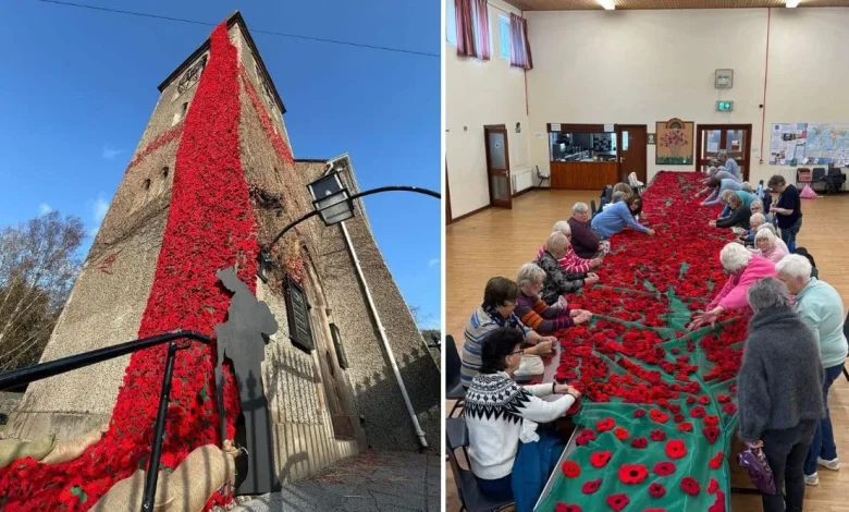 Stunning Richhill Remembrance display of over 7,700 poppies has drawn attention from far and wide