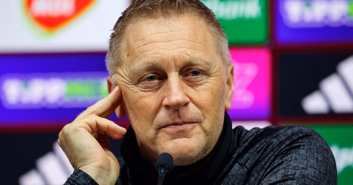 Succession planning the FAI way: Stunning World Cup campaign saves football bosses some bother