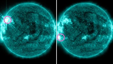 Sun unleashes 2 colossal X-class solar flares, knocking out radio signals across the Americas and Pacific
