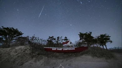 Sunday Night Doubleheader: Catch the 2025 Leonid Meteors and an Aurora Encore