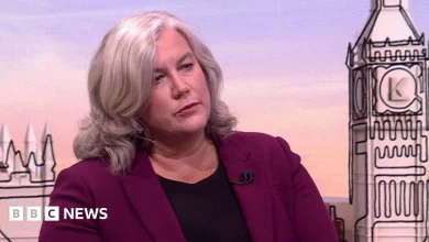 Sunday with Laura Kuenssberg: Transport Secretary Heidi Alexander faces questions before Budget