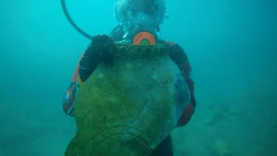 Sunken Silk Road city emerges from depths of 25-million-year-old lake