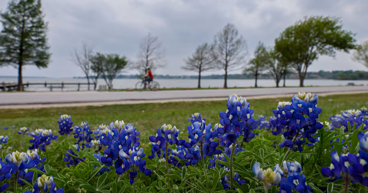 Sunny Sunday skies could shift into a rainy week. Here’s what to expect