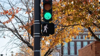 Sunshine to likely snow showers this weekend