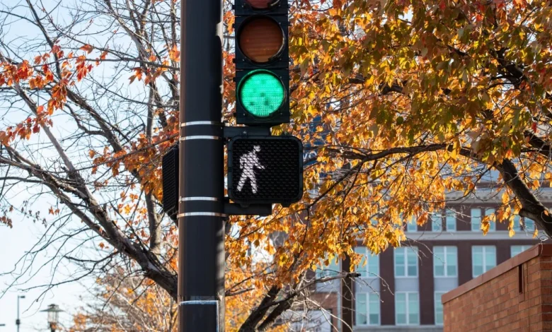 Sunshine to likely snow showers this weekend