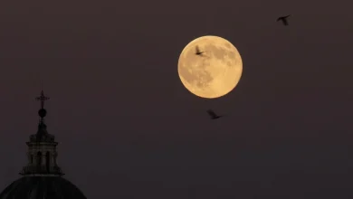 Super Lune | Une Lune un peu plus grosse et lumineuse mercredi