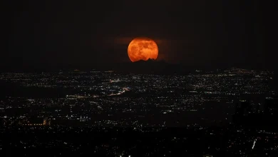 Super Lune de novembre : ce que réserve cette pleine Lune à observer très bientôt