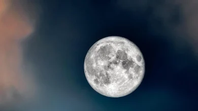 Super Lune du Castor : quand et comment observer ce phénomène rare et spectaculaire ce 5 novembre
