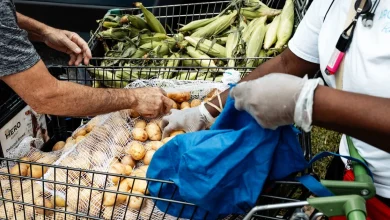 Supreme Court allows Trump administration to temporarily block SNAP benefits