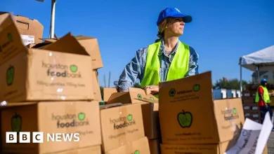 Supreme Court says US food stamp funding can be temporarily halted