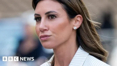 Suspect accused of ransacking Alina Habba's office arrested