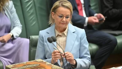 Sussan Ley's Liberal colleague thinks her leadership is in need of a 'miracle'